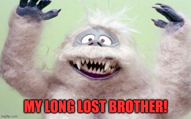 YETI  | MY LONG LOST BROTHER! | image tagged in yeti | made w/ Imgflip meme maker