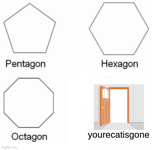 yes | yourecatisgone | image tagged in memes,pentagon hexagon octagon,cats | made w/ Imgflip meme maker
