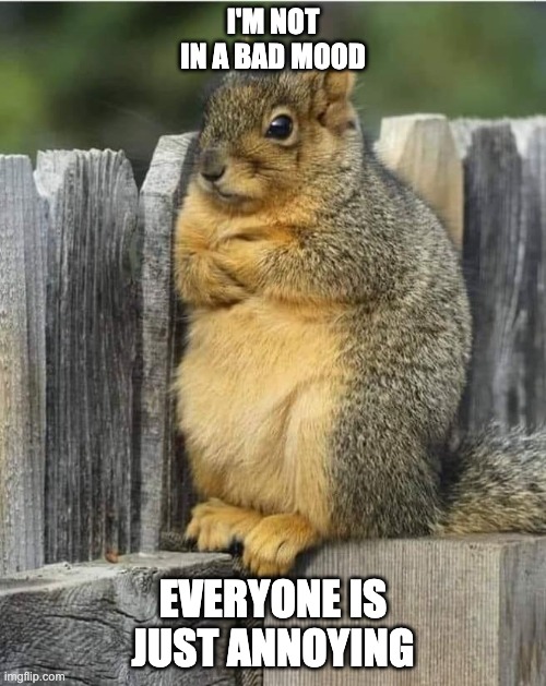 Annoyed Squirrel | I'M NOT IN A BAD MOOD; EVERYONE IS JUST ANNOYING | image tagged in annoyed squirrel | made w/ Imgflip meme maker