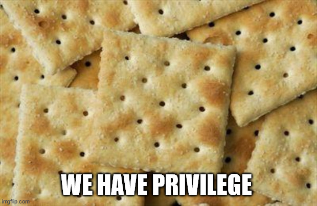 Crackers | WE HAVE PRIVILEGE | image tagged in crackers | made w/ Imgflip meme maker