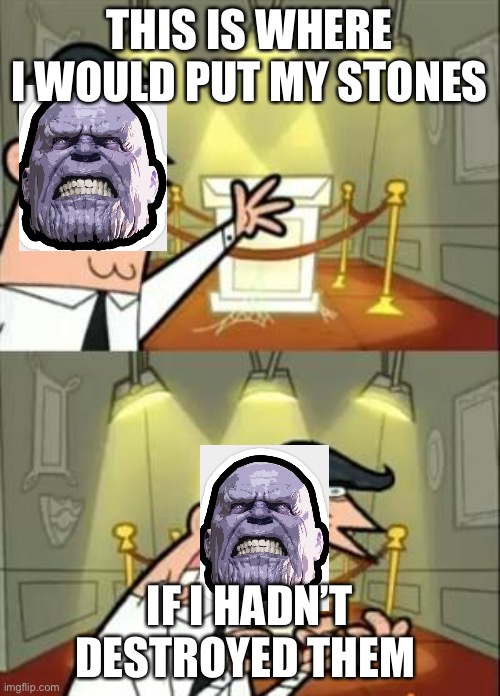 This Is Where I'd Put My Trophy If I Had One Meme | THIS IS WHERE I WOULD PUT MY STONES; IF I HADN’T DESTROYED THEM | image tagged in memes,this is where i'd put my trophy if i had one | made w/ Imgflip meme maker