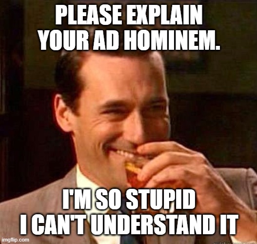 Mad Men | PLEASE EXPLAIN YOUR AD HOMINEM. I'M SO STUPID I CAN'T UNDERSTAND IT | image tagged in mad men | made w/ Imgflip meme maker