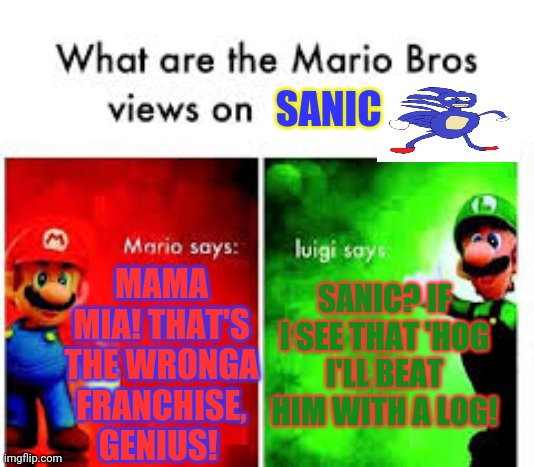 Mario brothers views | SANIC; MAMA MIA! THAT'S THE WRONGA FRANCHISE, GENIUS! SANIC? IF I SEE THAT 'HOG
I'LL BEAT HIM WITH A LOG! | image tagged in mario brothers veiws,mario,luigi,sanic,beating | made w/ Imgflip meme maker