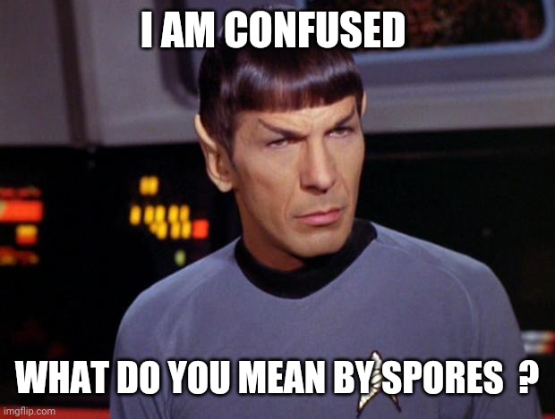 mr spock | I AM CONFUSED WHAT DO YOU MEAN BY SPORES  ? | image tagged in mr spock | made w/ Imgflip meme maker
