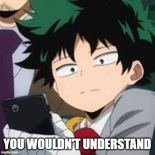 Deku dissapointed | YOU WOULDN'T UNDERSTAND | image tagged in deku dissapointed | made w/ Imgflip meme maker