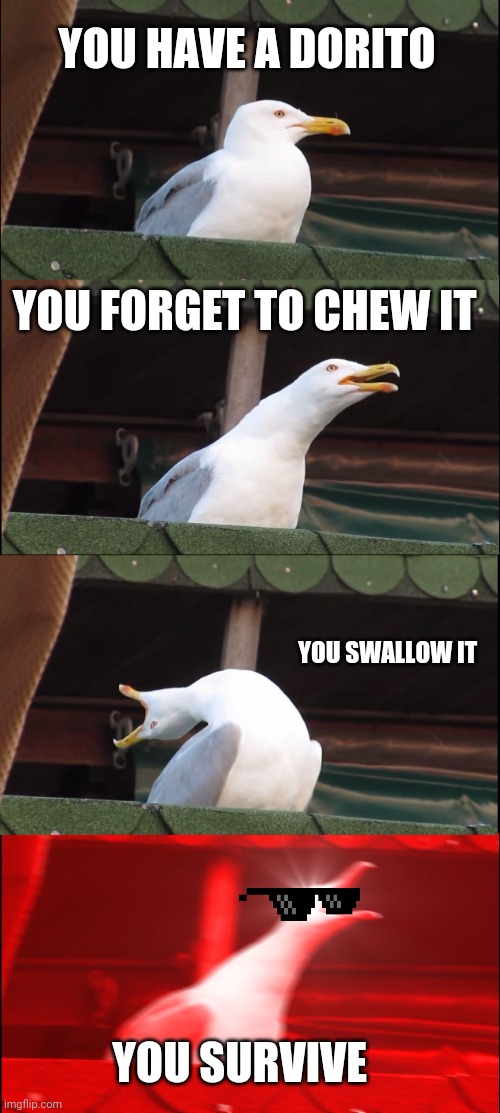 Inhaling Seagull | YOU HAVE A DORITO; YOU FORGET TO CHEW IT; YOU SWALLOW IT; YOU SURVIVE | image tagged in memes,inhaling seagull | made w/ Imgflip meme maker