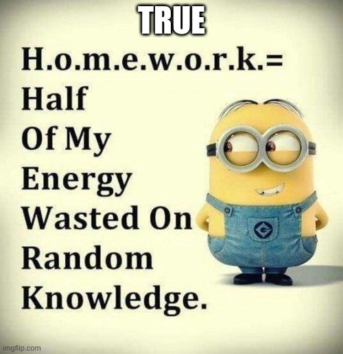 What homework stands for |  TRUE | image tagged in funny memes,so true memes | made w/ Imgflip meme maker