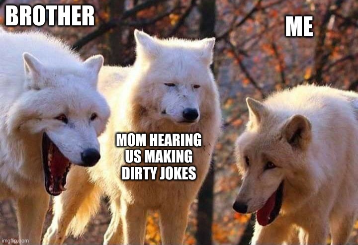 Laughing wolf | BROTHER; ME; MOM HEARING US MAKING DIRTY JOKES | image tagged in laughing wolf | made w/ Imgflip meme maker