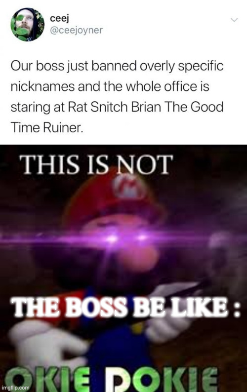 idontknowwhattoputinthetitlehelpmeplz | THE BOSS BE LIKE : | image tagged in this is not okie dokie,barney will eat all of your delectable biscuits | made w/ Imgflip meme maker
