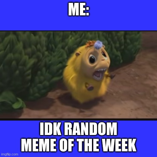 idk | ME:; IDK RANDOM MEME OF THE WEEK | image tagged in memes | made w/ Imgflip meme maker