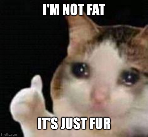 Approved crying cat | I'M NOT FAT IT'S JUST FUR | image tagged in approved crying cat | made w/ Imgflip meme maker
