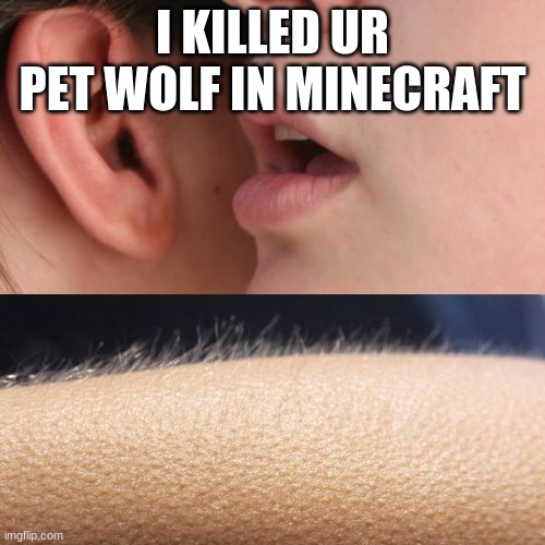 Minecraft Fright | I KILLED UR PET WOLF IN MINECRAFT | image tagged in whisper and goosebumps | made w/ Imgflip meme maker