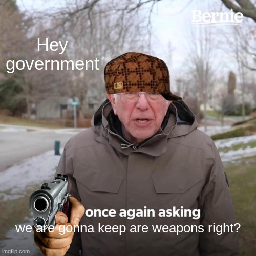 Bernie I Am Once Again Asking For Your Support | Hey government; we are gonna keep are weapons right? | image tagged in memes,bernie i am once again asking for your support | made w/ Imgflip meme maker