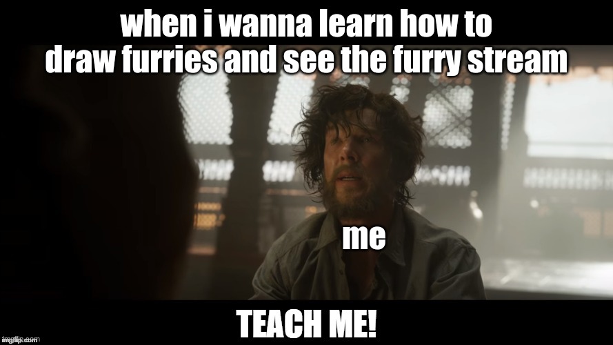 pls | when i wanna learn how to draw furries and see the furry stream; me | image tagged in doctor strange teach me | made w/ Imgflip meme maker
