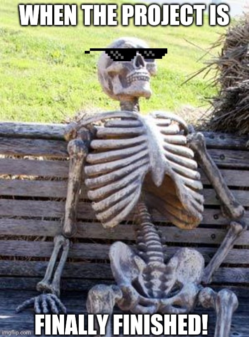 Finally done. | WHEN THE PROJECT IS; FINALLY FINISHED! | image tagged in memes,waiting skeleton | made w/ Imgflip meme maker