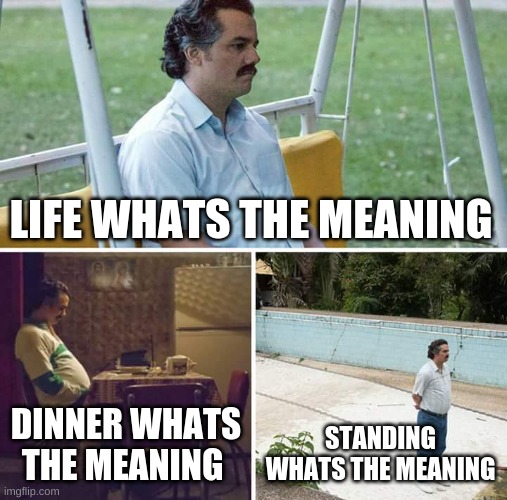 really just tell me the meaning | LIFE WHATS THE MEANING; DINNER WHATS THE MEANING; STANDING WHATS THE MEANING | image tagged in memes,sad pablo escobar | made w/ Imgflip meme maker