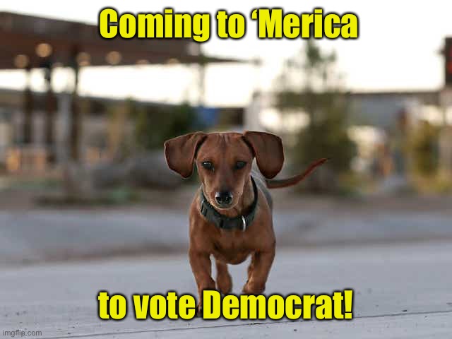 Coming to ‘Merica to vote Democrat! | made w/ Imgflip meme maker