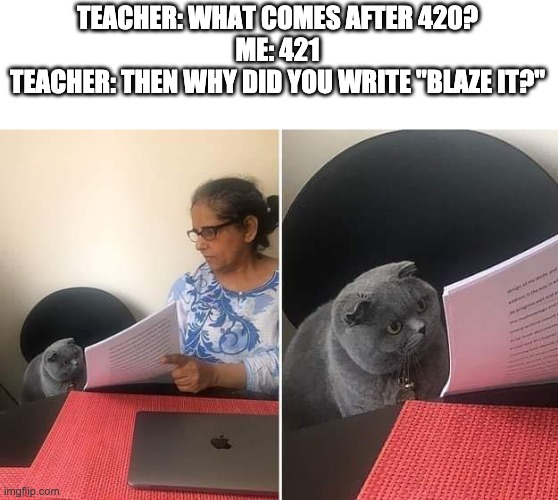 Woman showing paper to cat | TEACHER: WHAT COMES AFTER 420?
ME: 421
TEACHER: THEN WHY DID YOU WRITE "BLAZE IT?" | image tagged in woman showing paper to cat,memes,420 blaze it | made w/ Imgflip meme maker
