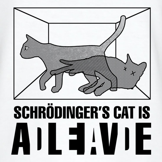 schrodinger's cat Blank Meme Template