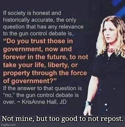 She is just a citizen with something to say. | Not mine, but too good to not repost. | image tagged in gun control,lawyer,smart,lady | made w/ Imgflip meme maker