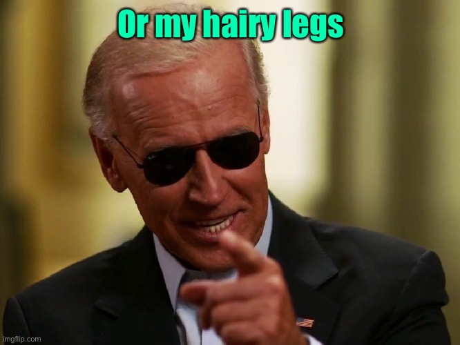 Cool Joe Biden | Or my hairy legs | image tagged in cool joe biden | made w/ Imgflip meme maker