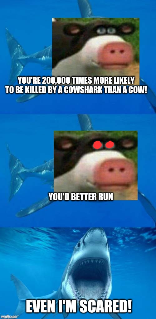 Bad Shark Pun  | YOU'RE 200,000 TIMES MORE LIKELY TO BE KILLED BY A COWSHARK THAN A COW! YOU'D BETTER RUN EVEN I'M SCARED! | image tagged in bad shark pun | made w/ Imgflip meme maker