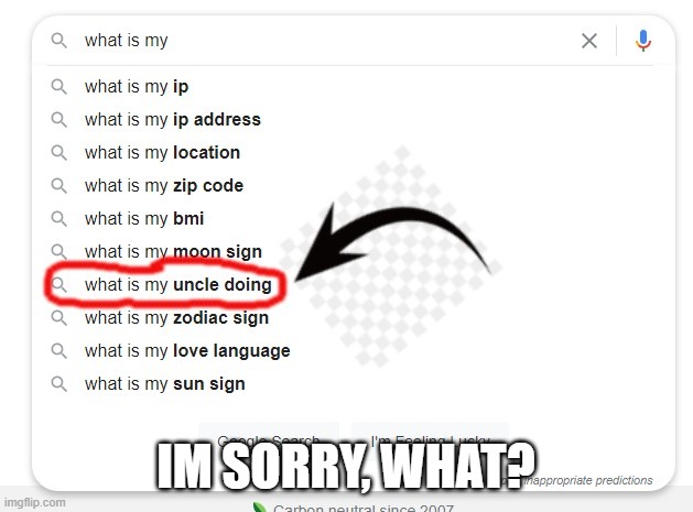 im sorry, what? | IM SORRY, WHAT? | image tagged in memes,google search | made w/ Imgflip meme maker