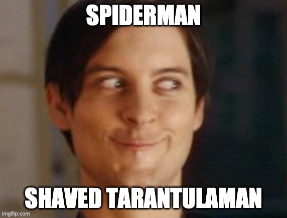 Spiderman Peter Parker Meme | SPIDERMAN SHAVED TARANTULAMAN | image tagged in memes,spiderman peter parker | made w/ Imgflip meme maker