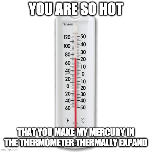 temprature | YOU ARE SO HOT THAT YOU MAKE MY MERCURY IN THE THERMOMETER THERMALLY EXPAND | image tagged in temprature | made w/ Imgflip meme maker