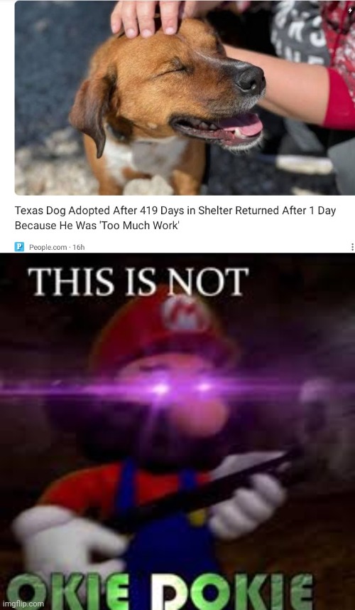 That Makes Me Sad, But Also Angry | image tagged in this is not okie dokie,give this dog a home | made w/ Imgflip meme maker