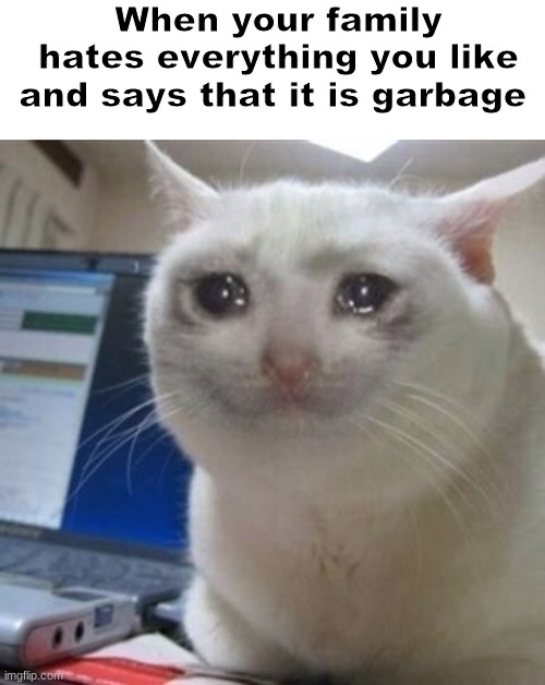 This is just pain | When your family hates everything you like and says that it is garbage | image tagged in blank white template,crying cat,parents,sad,relatable | made w/ Imgflip meme maker