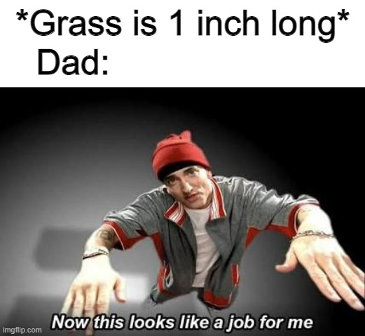 Now this looks like a job for me | *Grass is 1 inch long* Dad: | image tagged in now this looks like a job for me | made w/ Imgflip meme maker