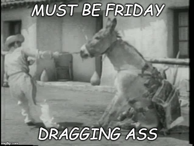 dragging ass | MUST BE FRIDAY; DRAGGING ASS | image tagged in donkey drag | made w/ Imgflip meme maker