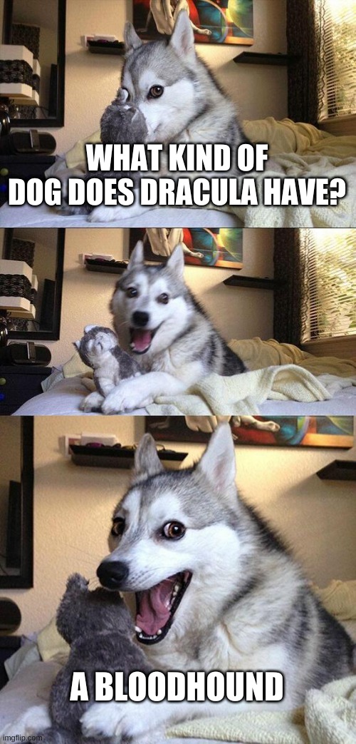 Drakoola | WHAT KIND OF DOG DOES DRACULA HAVE? A BLOODHOUND | image tagged in memes,bad pun dog | made w/ Imgflip meme maker