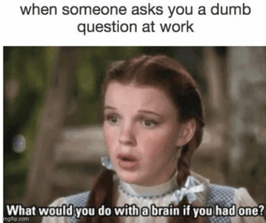 Dumber than you think | image tagged in dumb,work,question | made w/ Imgflip meme maker
