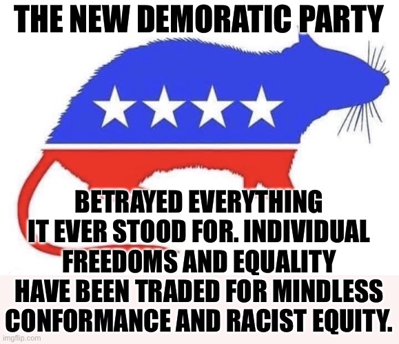 How are you still a Democrat? | THE NEW DEMORATIC PARTY; BETRAYED EVERYTHING IT EVER STOOD FOR. INDIVIDUAL FREEDOMS AND EQUALITY HAVE BEEN TRADED FOR MINDLESS CONFORMANCE AND RACIST EQUITY. | image tagged in democrat party,democratic socialism,leftists,woke,jokes | made w/ Imgflip meme maker