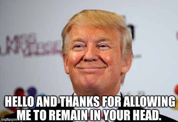 Donald trump approves | HELLO AND THANKS FOR ALLOWING ME TO REMAIN IN YOUR HEAD. | image tagged in donald trump approves | made w/ Imgflip meme maker