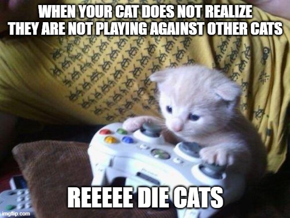 when your cat plays xbox | WHEN YOUR CAT DOES NOT REALIZE THEY ARE NOT PLAYING AGAINST OTHER CATS; REEEEE DIE CATS | image tagged in cute kitty on xbox | made w/ Imgflip meme maker