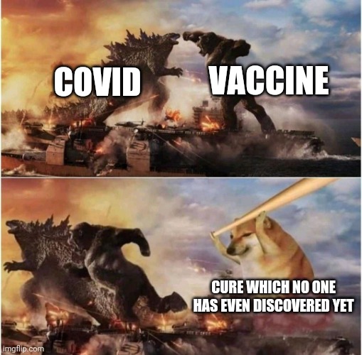 Kong Godzilla Doge | VACCINE; COVID; CURE WHICH NO ONE HAS EVEN DISCOVERED YET | image tagged in kong godzilla doge | made w/ Imgflip meme maker