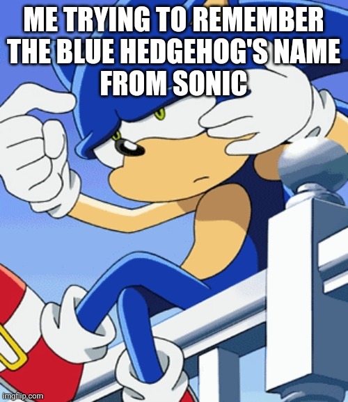 Me trying to remember the blue hedgehog's name from Sonic | ME TRYING TO REMEMBER
THE BLUE HEDGEHOG'S NAME
FROM SONIC | image tagged in sonic the hedgehog,sonic x,me trying to remember,name | made w/ Imgflip meme maker