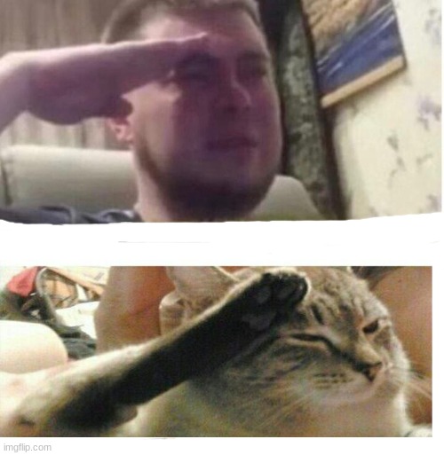 Cat and man saluting | image tagged in crying salute | made w/ Imgflip meme maker