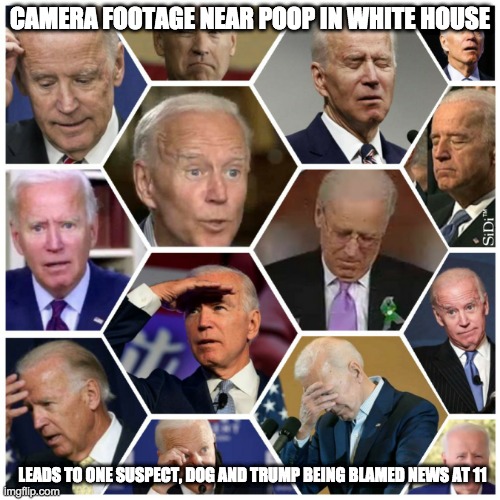 CAMERA FOOTAGE NEAR POOP IN WHITE HOUSE; LEADS TO ONE SUSPECT, DOG AND TRUMP BEING BLAMED NEWS AT 11 | image tagged in biden,trump,poop | made w/ Imgflip meme maker