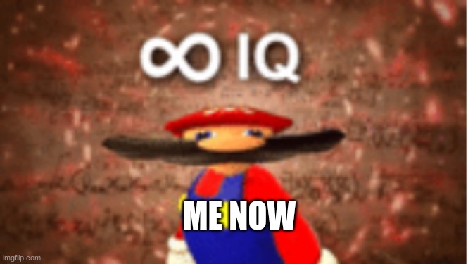 Infinite IQ | ME NOW | image tagged in infinite iq | made w/ Imgflip meme maker