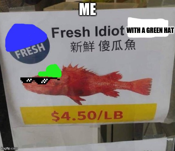 Fresh idiot | ME; WITH A GREEN HAT | image tagged in fresh idiot | made w/ Imgflip meme maker