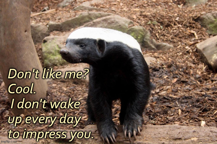 Honey Badger | Don't like me? 
Cool.
 I don't wake up every day to impress you. | image tagged in honey badger | made w/ Imgflip meme maker