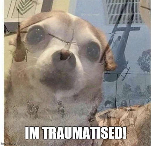 PTSD Chihuahua | IM TRAUMATISED! | image tagged in ptsd chihuahua | made w/ Imgflip meme maker