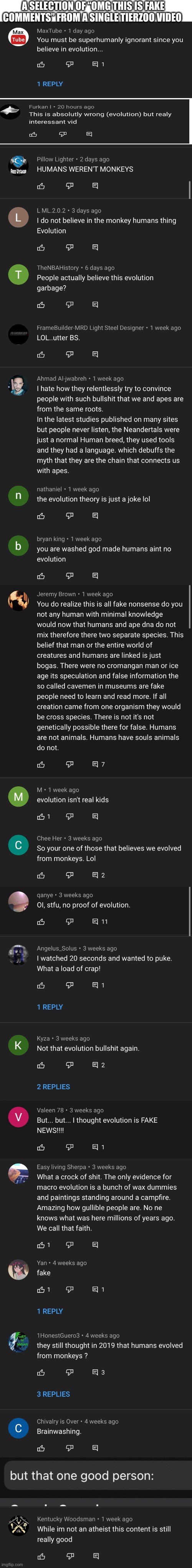 A SELECTION OF “OMG THIS IS FAKE COMMENTS” FROM A SINGLE TIERZOO VIDEO | image tagged in blank white template | made w/ Imgflip meme maker