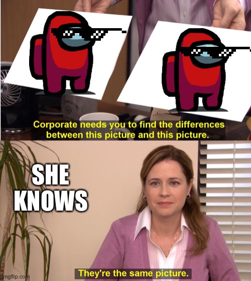 They're The Same Picture | SHE KNOWS | image tagged in memes,they're the same picture | made w/ Imgflip meme maker