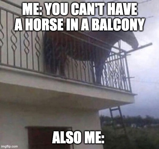 Juan | ME: YOU CAN'T HAVE A HORSE IN A BALCONY ALSO ME: | image tagged in juan | made w/ Imgflip meme maker