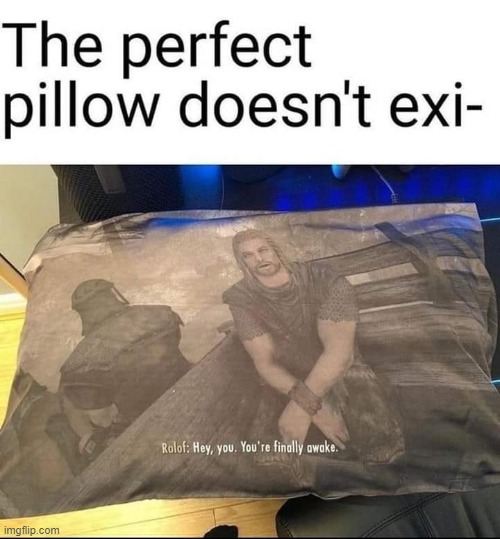The adventure begins... | image tagged in skyrim,skyrim meme,elder scrolls,the elder scrolls,pillow,repost | made w/ Imgflip meme maker